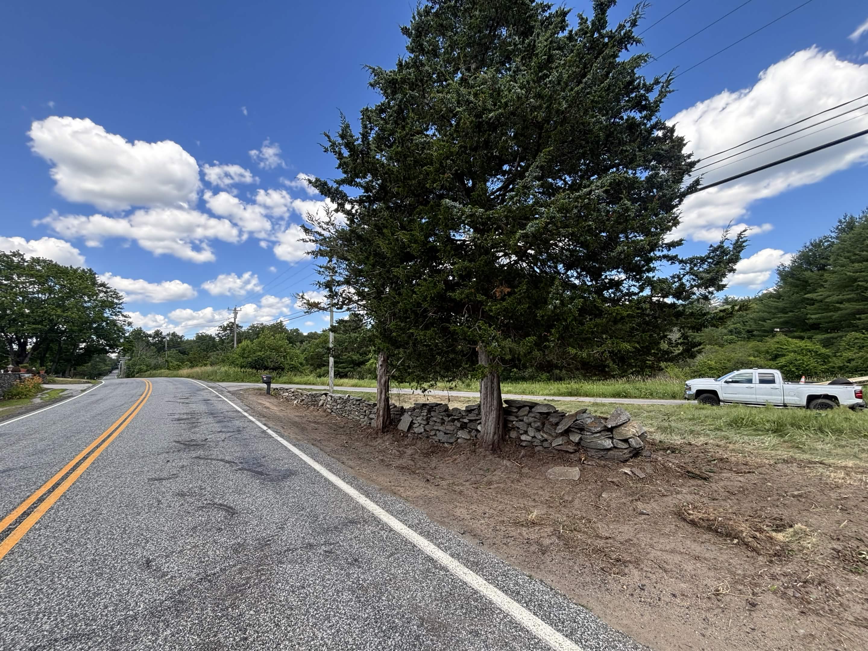 Clean cleared area along road — after brush and ivy removal